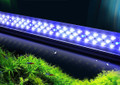 Leglass Aquarium Adjustable LED Clip Light