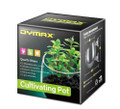 Dymax Crystal Cultivating Pot - Glass Planter