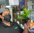 Our teammate Powell, his hand, hat, shirt and face-mask not included with your Java Fern on Driftwood order, though he will personally pick and pack it for you!  