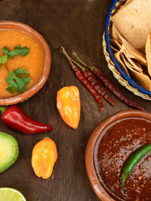 Salsa Sauces and Mexican Sauces