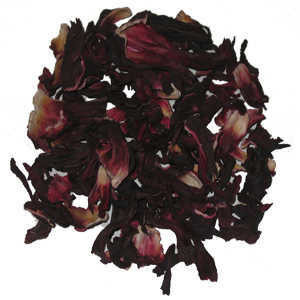 Jamaica Hibiscus