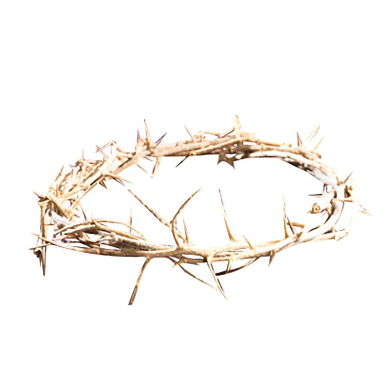 Crown of thorns — Design element — Lightstock