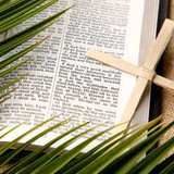 Palm Sunday and Holy Week