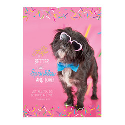 Large Poster - Life is Better with Sprinkles