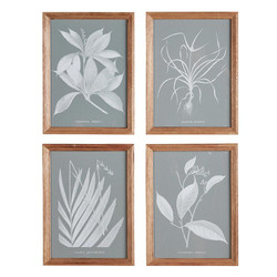 Framed Painting - Leaves - Set of 4