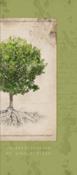Greeting Card - Baptism - Tree Greeting Card - Baptism - Tree
