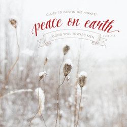 Greeting Card - Christmas - Peace On Earth Greeting Card - Christmas - Peace On Earth