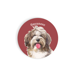 Car Coaster - Havanese