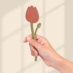 Pink Tulip Pink Tulip