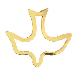 Confirmed in Christ Confirmation Lapel Pin with Bookmark-12/pk