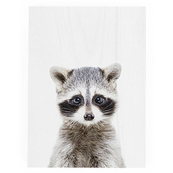 Featured Artist Decorative Block - Racoon