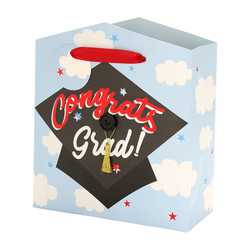 HALLOWEEN OGEE BOTTLE BAG 4917-05R