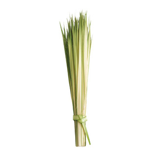 24" Palms - 100/Bag