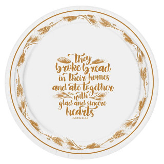 Jesus is the Reason Paper Plate Set sets/pk