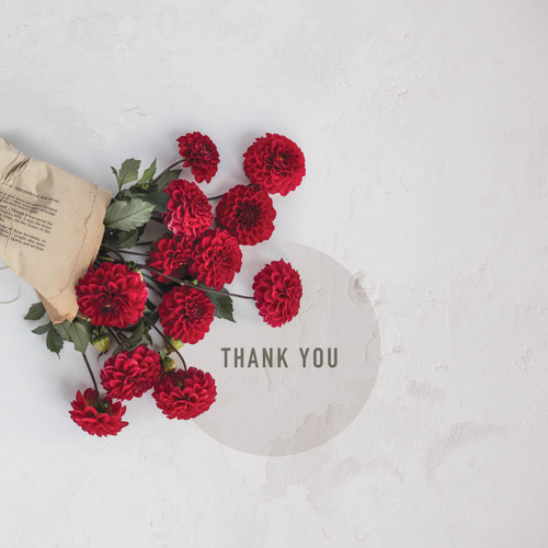 Greeting Card - Thank You - Carnations