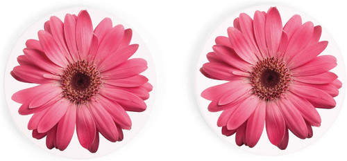 Car Coasters -Daisies