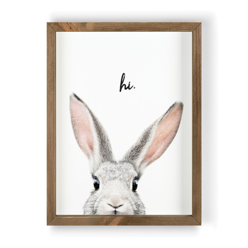 Framed Art - Hi - Rabbit