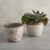 Flower Pot - Cream and Beige