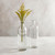 Clear Glass Vase - Smal