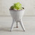3 Legged Vase
