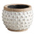 Polka Dot Planter Pot - Small