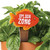 Plant Stake - Splash Zone
