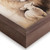 Lion and Lamb Framed Linen Art