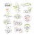 Sticker Pack - Dainty Floral
