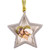 Star Nativity Ornament Assortment (2 Asst) - 12/pk