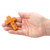 Praying Hands Wood Pocket Cross - 2/pk