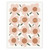 Everyday Boxed Greeting Cards