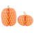 Honeycomb Decoration - Blush Pumpkin - Set of 2