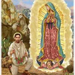 The Feast Of Saint Juan Diego Consumer Autom Juan Diego 250 250 Px