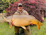 New Connecticut State Record Carp: 45lb 8oz of Pure Glory