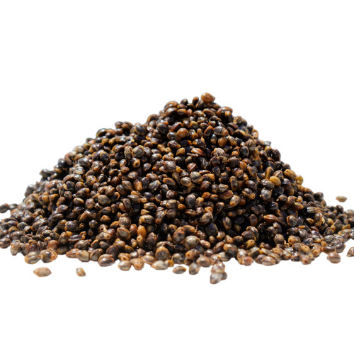 Carp Angler PVA Friendly Hemp Seeds (5 LB)
