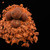 Carp Angler Nutri-Cell Boilies - Premium Range