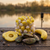 Carp Angler PB Mussel Pop Ups