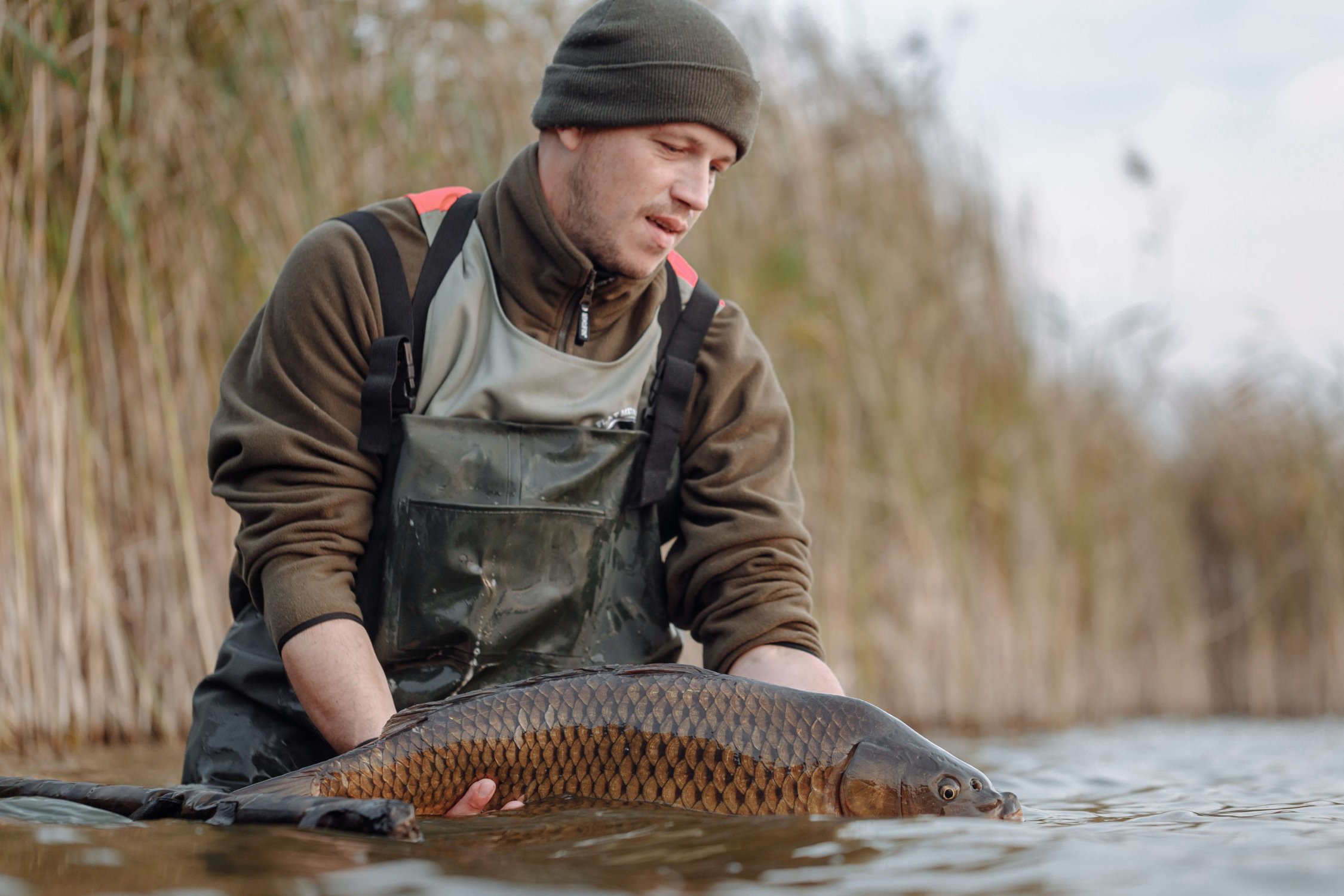 A fisherman holding a carp