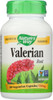 Valerian Root Sleep