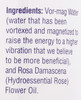 Rosewater w/Atomizer Rose Petals Aromatherapy Mist 8 Fl oz 240mL