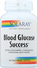 Blood Glucose Success, Blood Sugar Support Formula Cinnamon, Chromium, Gymnema 90 Vegetarian Capsules