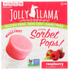 Simply Sorbet Pops Raspberry Made With Whole Fruit 4 Count