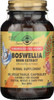 SFP Boswellia Resin Extract 60 Vegetable Capsules