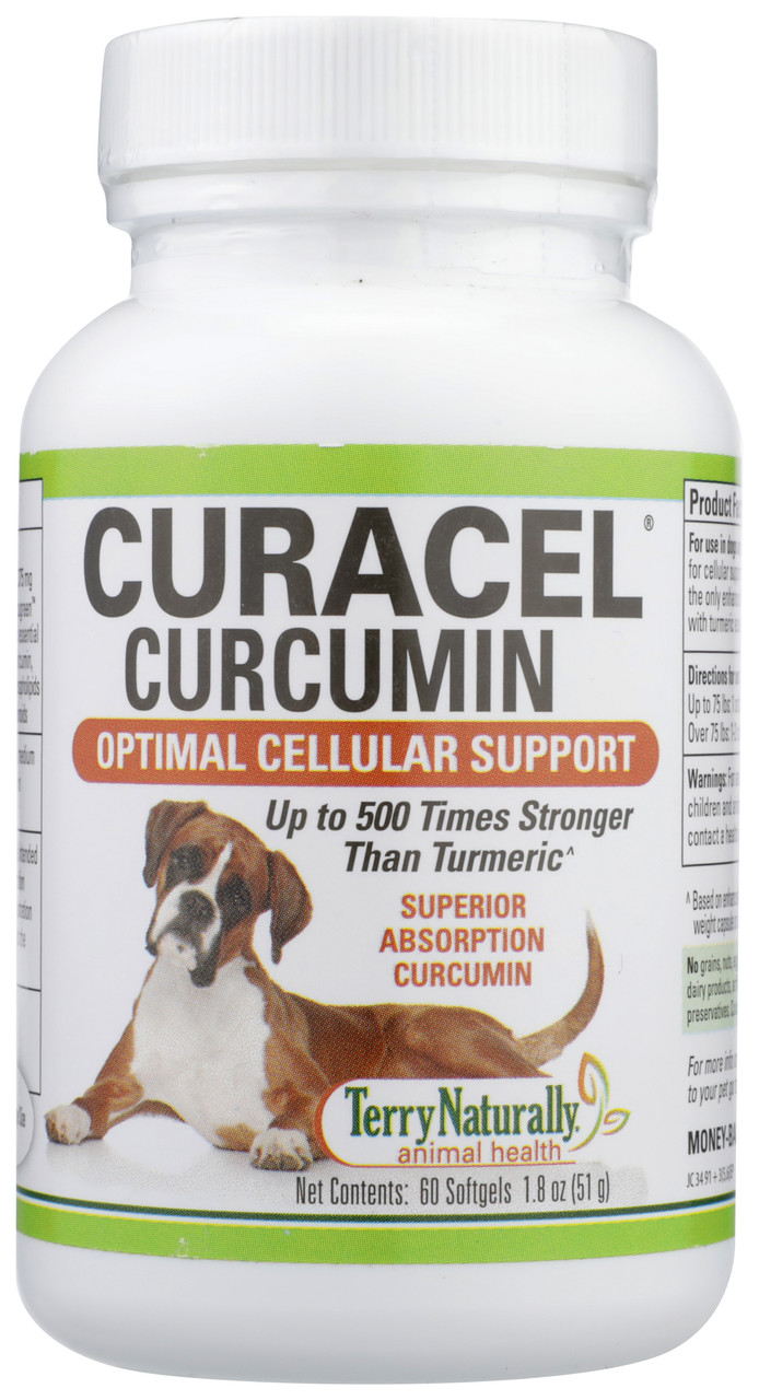 Curacel Curcumin Softgels Cellular Support 60 Count