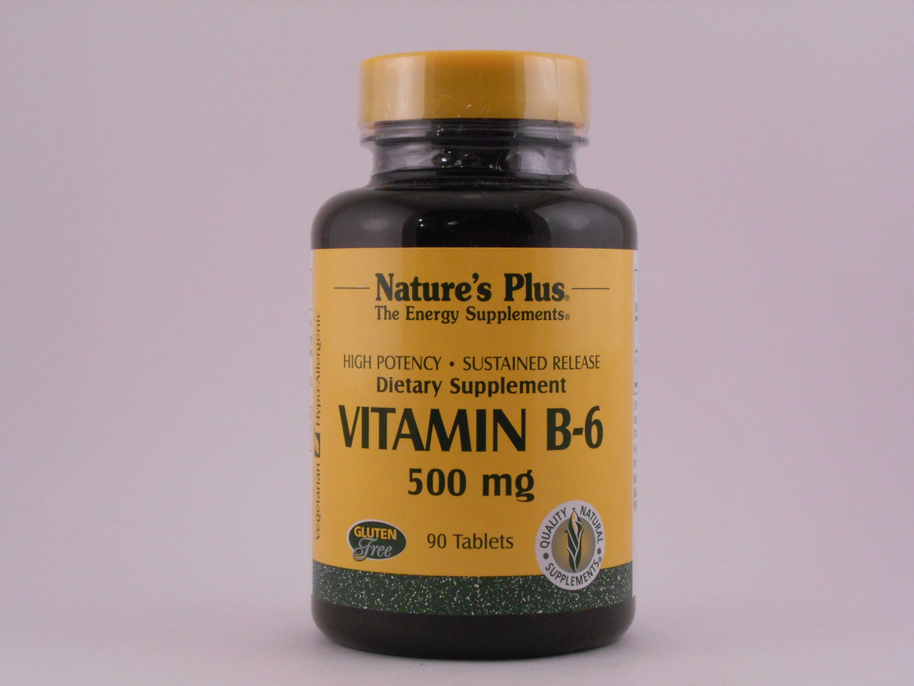 Vitamin B-6 500mg Sustained Release 90 Tablets
