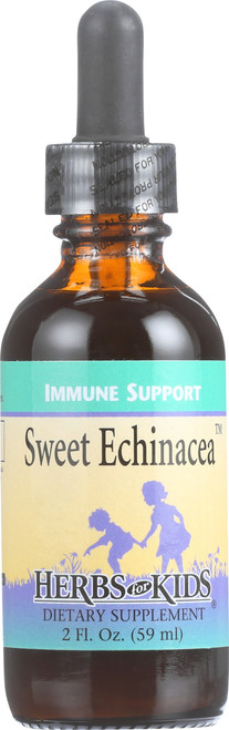 Echinacea Sweet