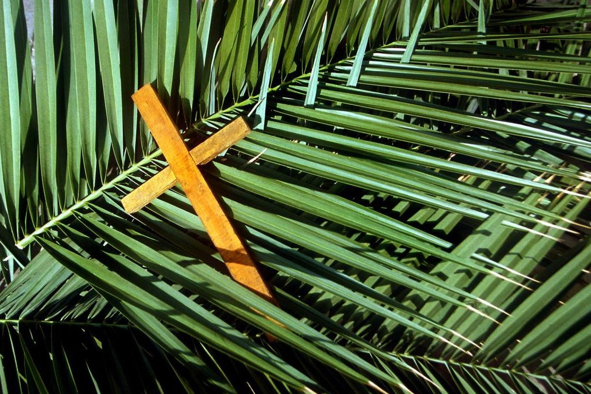 Wishing you a blessed Palm Sunday blessed