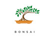 Bonsai