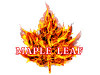 Maple Leaf 