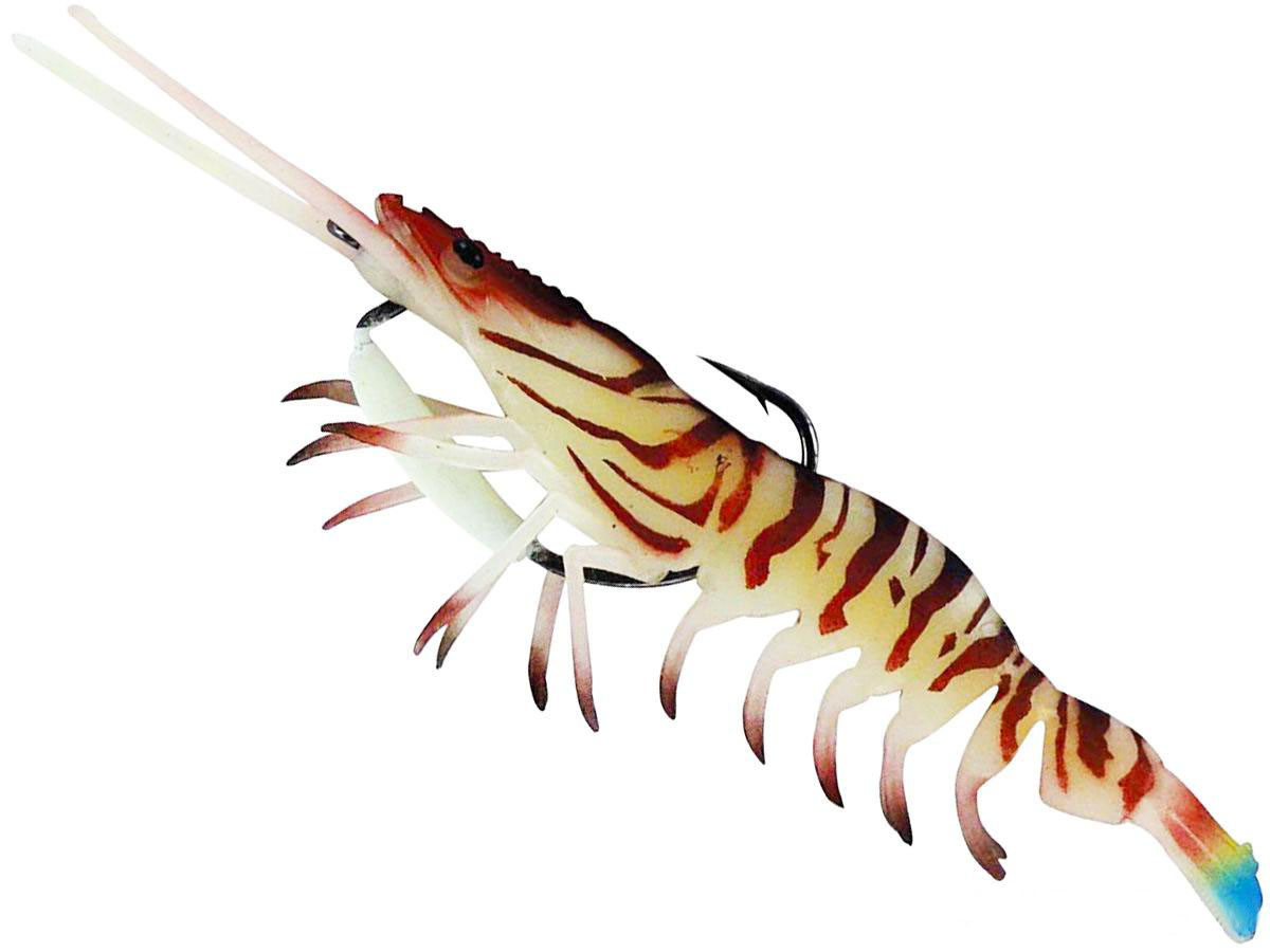 cordell big o fishing lure Cotton Cordell Big O
